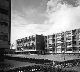 Foto Naoorlogs Groen in Rotterdam